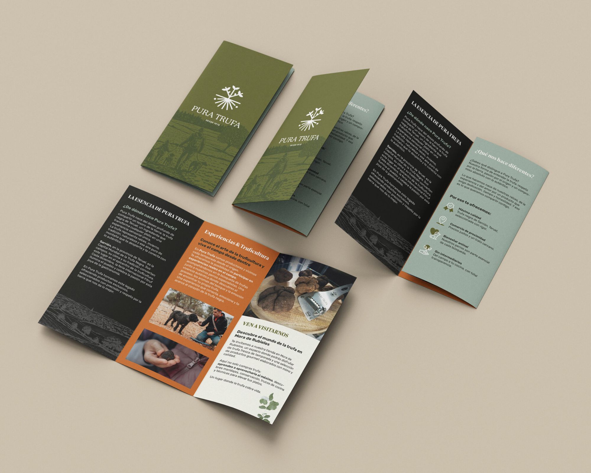 Incipere - muestra de trabajo publicitario